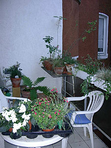 wohnung338