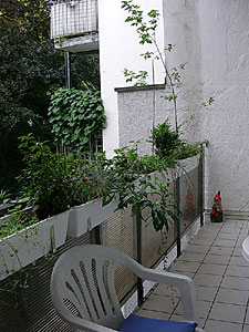 wohnung340