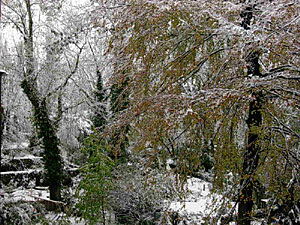 26.11.2005