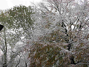 26.11.2005
