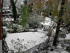26.11.2005