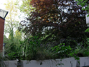 xbalkon3371
