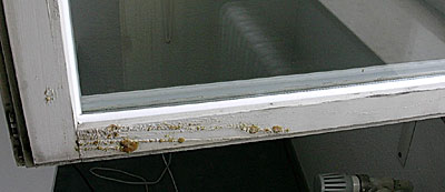 fenster04