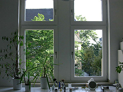 fenster11