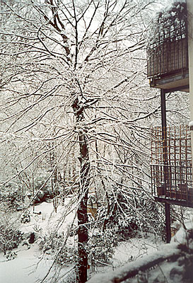 winter03