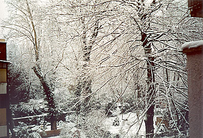 winter04