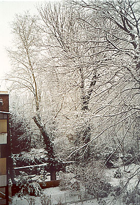 winter05