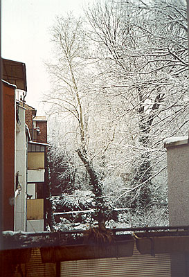 winter06